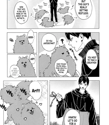 [Kanouh] My Partner Became a Dog – Haikyuu!! dj [Eng] – Gay Manga sex 13