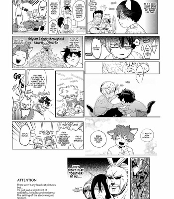 [CC (micco)] The Cat Book -sequel- Boku no Hero Academia dj [Eng] – Gay Manga sex 2