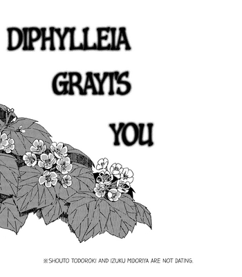 [Grimu] Diphylleia Grayis You – Boku no Hero Academia dj [Eng] – Gay Manga sex 4