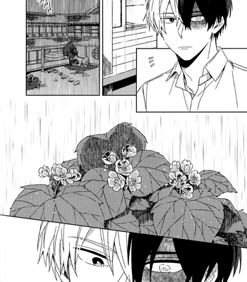[Grimu] Diphylleia Grayis You – Boku no Hero Academia dj [Eng] – Gay Manga sex 29