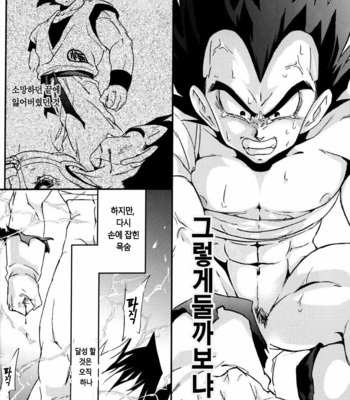 [Dokugunryu (Norazi & Rimi Komakawa)] Kemono-tachi wa Furusato wo Mezasu – Dragon Ball Z dj [kr] – Gay Manga sex 27