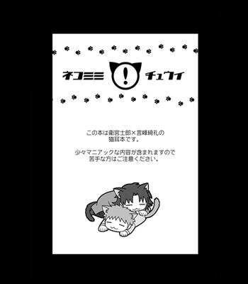[TEKETO (Sanada)] Nyan Nyan Network – Fate/stay night dj [JP] – Gay Manga sex 3