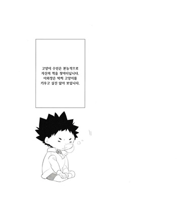 [Rototika (Kamishi Yue)] Haikyu!! dj – I Want To Be Iwa-Chan’s Cat [KR] – Gay Manga sex 14
