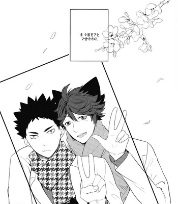 [Rototika (Kamishi Yue)] Haikyu!! dj – I Want To Be Iwa-Chan’s Cat [KR] – Gay Manga sex 4