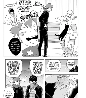 [Bubunhanten] Tabun Hina→Kage – Haikyuu!! dj [Spa] – Gay Manga sex 4