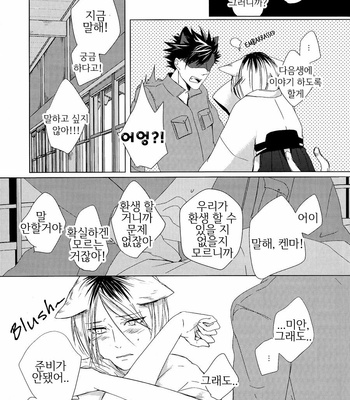 [Ruppo (Ayuko)] Haikyu!! dj – A Werecat Story [kr] – Gay Manga sex 29