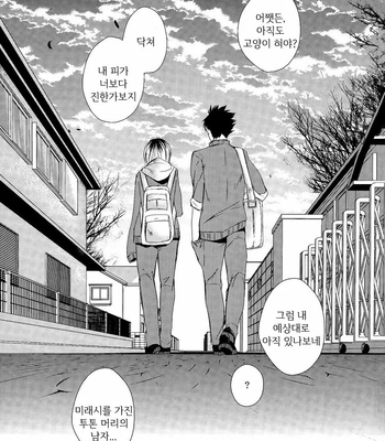 [Ruppo (Ayuko)] Haikyu!! dj – A Werecat Story [kr] – Gay Manga sex 37