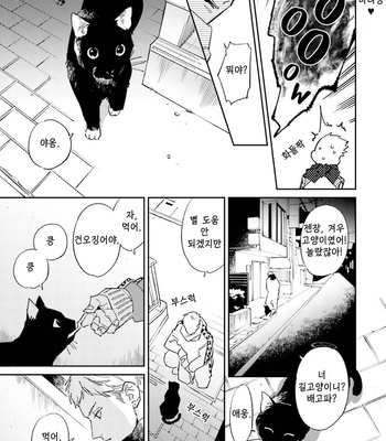 [Haruta] Dotei Yankee Magicus [Kr] – Gay Manga sex 11
