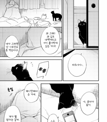 [Haruta] Dotei Yankee Magicus [Kr] – Gay Manga sex 156