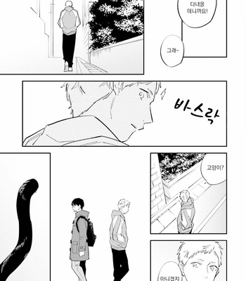 [Haruta] Dotei Yankee Magicus [Kr] – Gay Manga sex 214