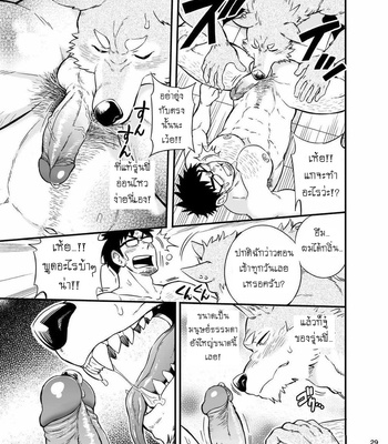 [Draw Two (Draw2)] Ookami-kun no Yasei no Jijou [Thai] – Gay Manga sex 30