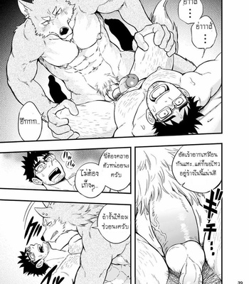[Draw Two (Draw2)] Ookami-kun no Yasei no Jijou [Thai] – Gay Manga sex 40