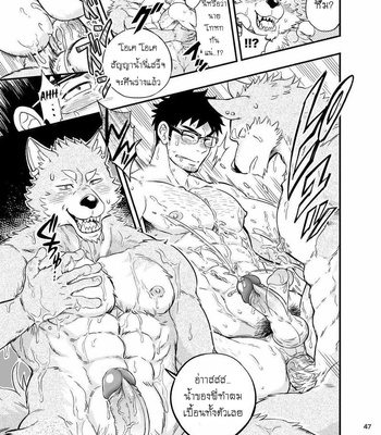 [Draw Two (Draw2)] Ookami-kun no Yasei no Jijou [Thai] – Gay Manga sex 48