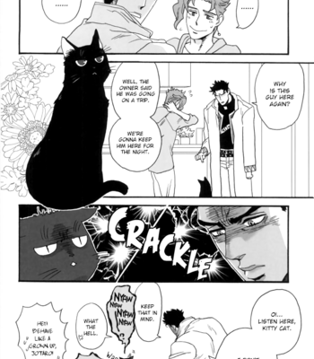 [Tetsuo (No.28)] Kujo Jotaro Is a Cat – JoJo’s Bizarre Adventure dj [Eng] – Gay Manga sex 22