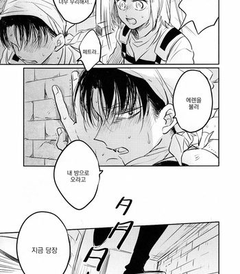 [Satoukibi (Amesusu)] Love due to conscious neglect 2 – Attack on Titan dj [Kr] – Gay Manga sex 20