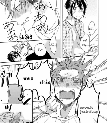 [Azutaka] The Pure-Hearted Wolf’s First Love (c.1) [TH] – Gay Manga sex 18