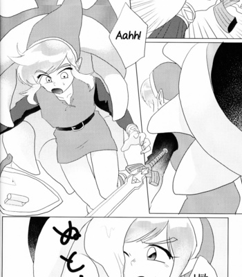 [Erotani] MonKan (Monster x Link Anthology) – The Legend of Zelda dj [Eng] – Gay Manga sex 16