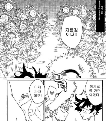 [Ultimate Safaripark (Horiuchi Mochiko)] Saraba itoshi no – Boku no Hero Academia dj [KR] – Gay Manga sex 10
