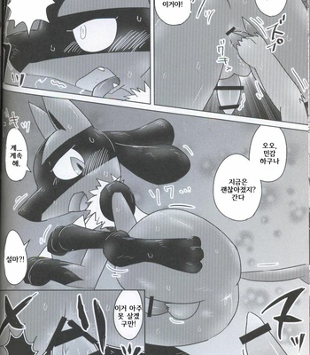 [Odoshiro Canvas (Various)] TRAiNER! – Pokemon dj [kr] – Gay Manga sex 34