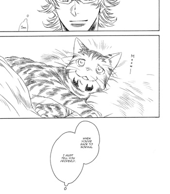 [Ziggy] Tiger & Bunny dj – Meow Meow Meow [Eng] – Gay Manga sex 19