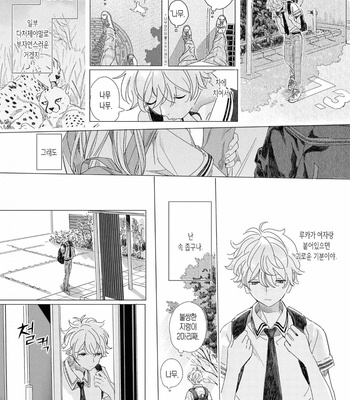 [Hakase] Raion Gotoki no Kuni kara [Kr] – Gay Manga sex 77