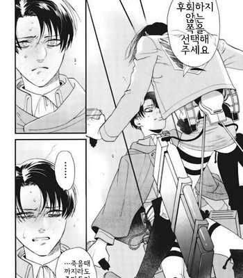 [rasu] Dear Levi Ackerman – Attack on Titan dj [Kr] – Gay Manga sex 33