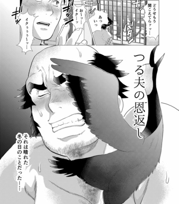 [Ochaocha Honpo (Chabashira Tatsukichi)] Tsuru Otto no Ongaeshi [JP] – Gay Manga sex 3