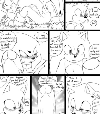 [KrazyELF] Shaking up the skies – Sonic the Hedgehog dj [Eng] – Gay Manga sex 13